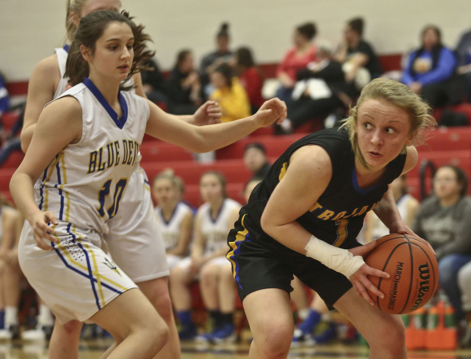 Second team — Allie Robinson (Jr., G), Maroa-Forsyth